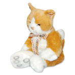 Katt