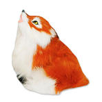 Räv