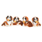 ST. Bernhard