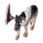 Älg