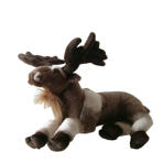 Älg mjukis