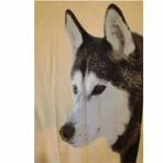 Pläd "Huskey"